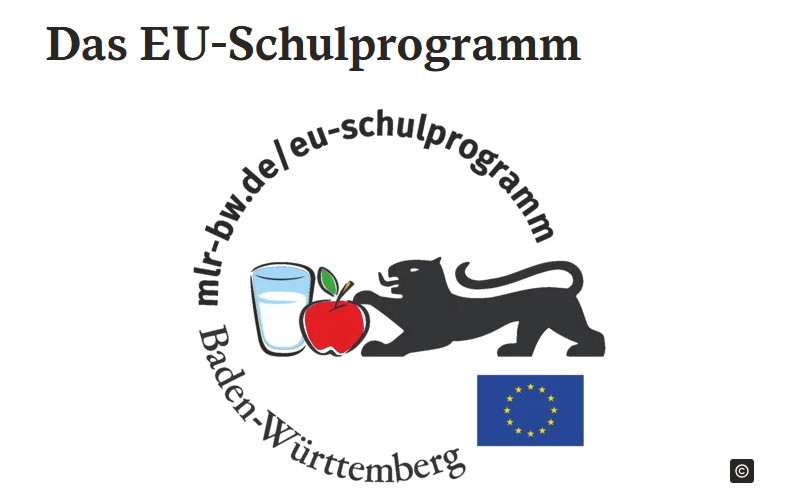 Das EU-Schulprogramm - Wir machen mit! Bild